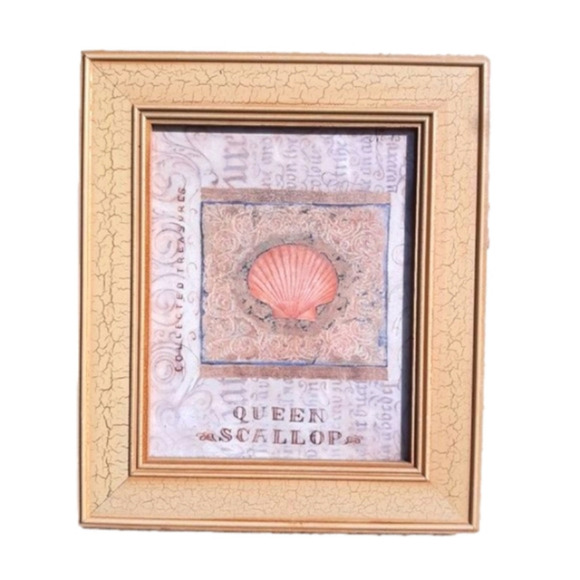 ð
ºPIER 1 Shelley Hely Framed Seashell Lithograph Print - Picture 2 of 7